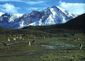 阿根廷冰川国家公园