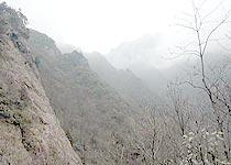 龙王山