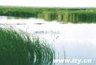 衡水湖湿地自然保护区
