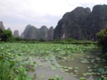 荷塘风景区