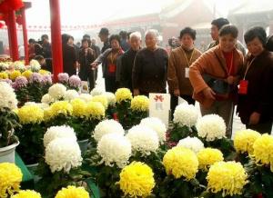 开封菊花花会