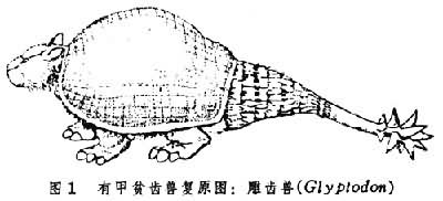 有甲贫齿兽复原图：雕齿兽(Glyptodon)