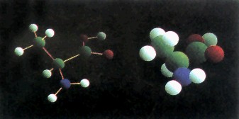丙氨酸的结构模型