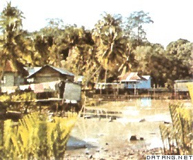 婆罗洲的沙捞越村落