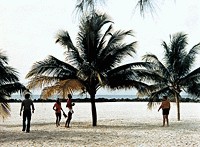 巴巴多斯海滨风光
