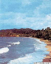 多巴哥岛海滨风光