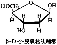 β-D-2-脱氧核呋喃糖
