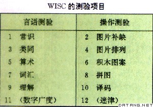 表：WISC的测验项目