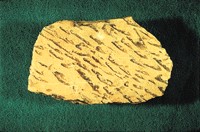文象伟晶岩标本
