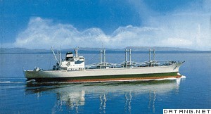 远洋运输杂货船