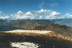 高山乳胶室（西藏甘巴拉山）